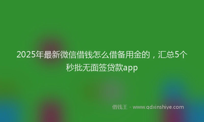 2025年最新微信借钱怎么借备用金的，汇总5个秒批无面签贷款app