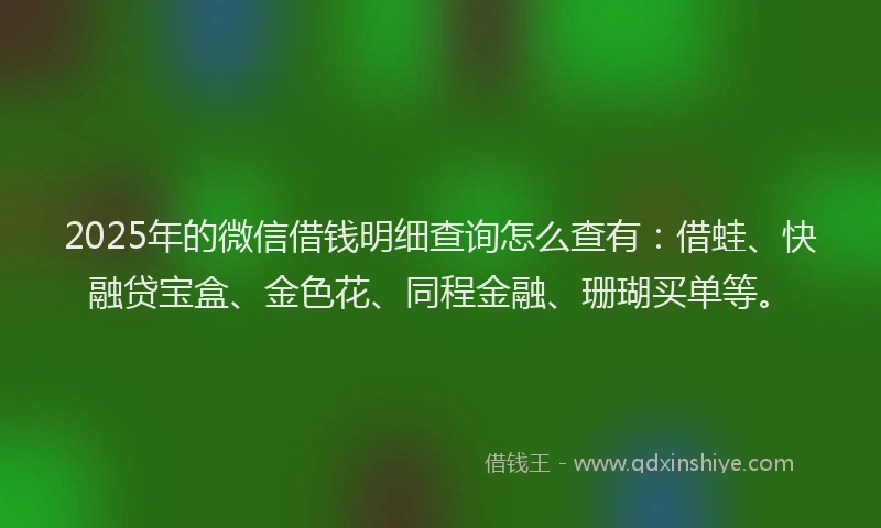 2025年的微信借钱明细查询怎么查有：借蛙、快融贷宝盒、金色花、同程金融、珊瑚买单等。