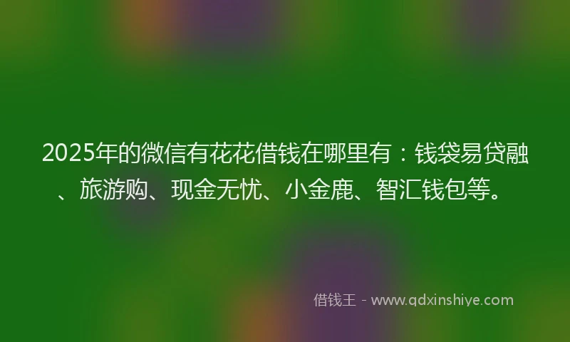 2025年的微信有花花借钱在哪里有：钱袋易贷融、旅游购、现金无忧、小金鹿、智汇钱包等。