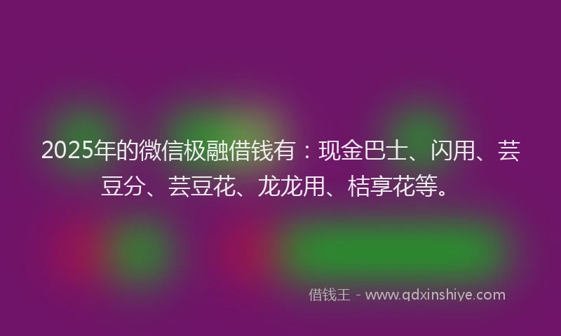 2025年的微信极融借钱有：现金巴士、闪用、芸豆分、芸豆花、龙龙用、桔享花等。