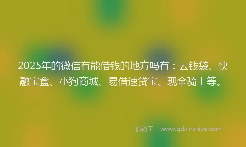 2025年的微信有能借钱的地方吗有：云钱袋、快融宝盒、小狗商城、易借速贷宝、现金骑士等。