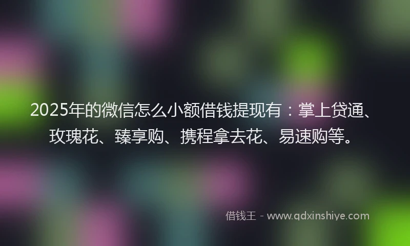 2025年的微信怎么小额借钱提现有：掌上贷通、玫瑰花、臻享购、携程拿去花、易速购等。