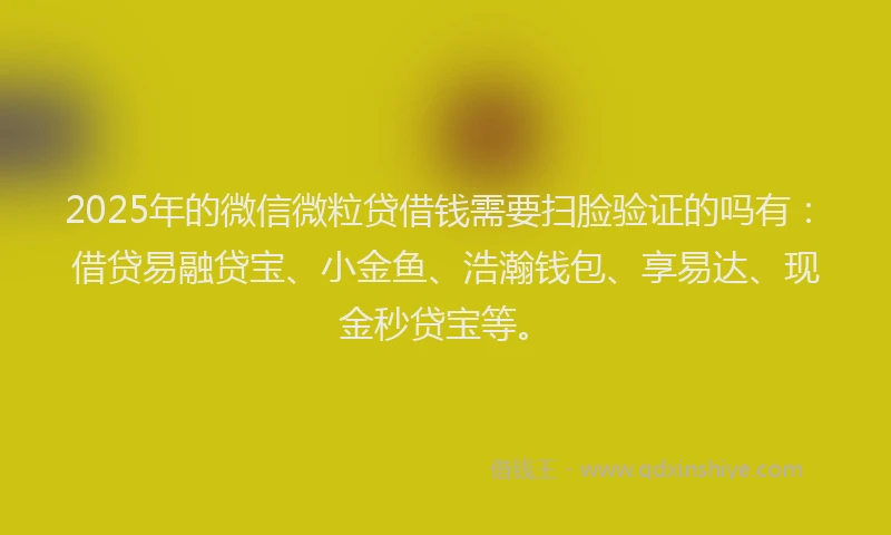 2025年的微信微粒贷借钱需要扫脸验证的吗有：借贷易融贷宝、小金鱼、浩瀚钱包、享易达、现金秒贷宝等。