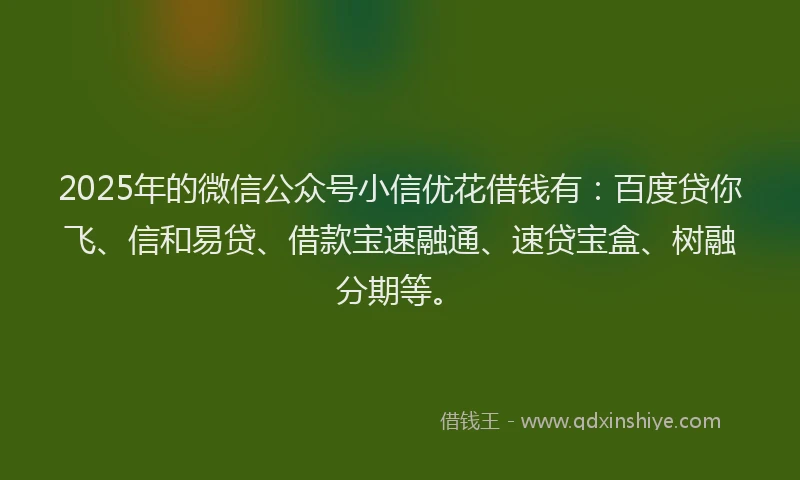 2025年的微信公众号小信优花借钱有：百度贷你飞、信和易贷、借款宝速融通、速贷宝盒、树融分期等。