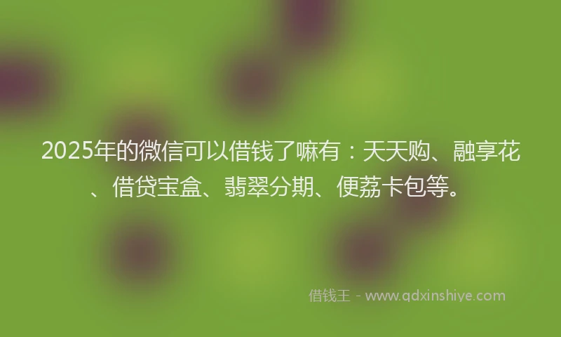 2025年的微信可以借钱了嘛有：天天购、融享花、借贷宝盒、翡翠分期、便荔卡包等。