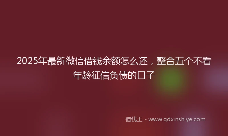 2025年最新微信借钱余额怎么还，整合五个不看年龄征信负债的口子