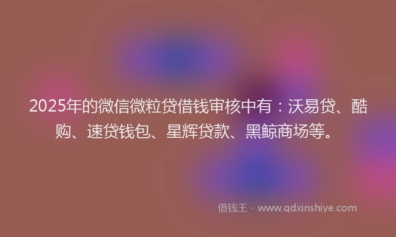 2025年的微信微粒贷借钱审核中有：沃易贷、酷购、速贷钱包、星辉贷款、黑鲸商场等。