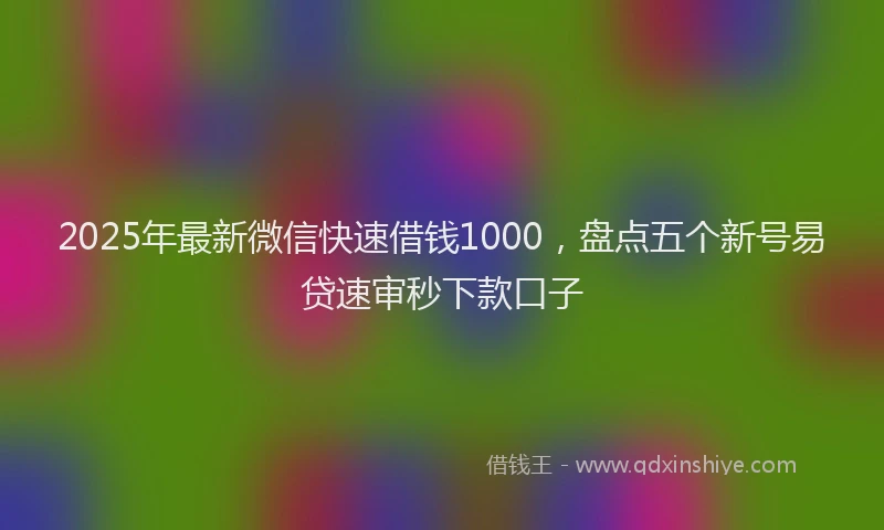 2025年最新微信快速借钱1000，盘点五个新号易贷速审秒下款口子