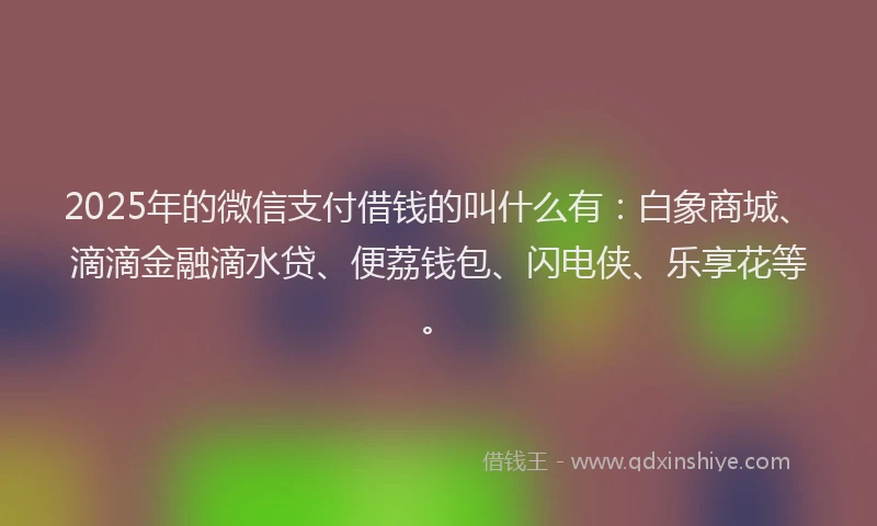 2025年的微信支付借钱的叫什么有：白象商城、滴滴金融滴水贷、便荔钱包、闪电侠、乐享花等。