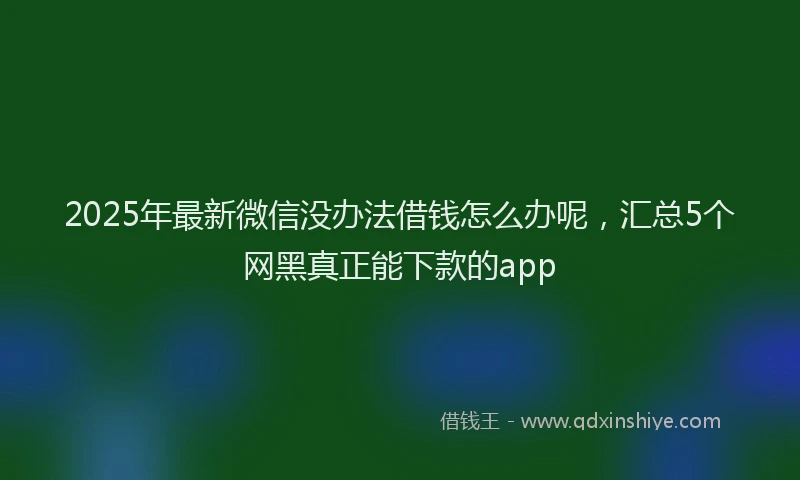 2025年最新微信没办法借钱怎么办呢，汇总5个网黑真正能下款的app