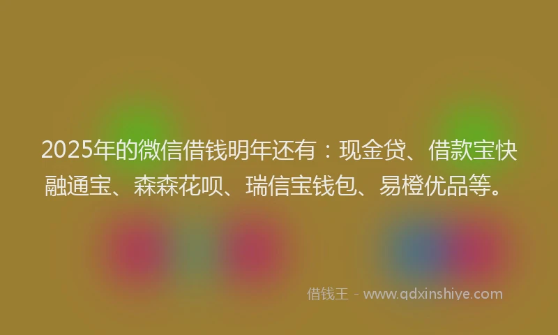 2025年的微信借钱明年还有：现金贷、借款宝快融通宝、森森花呗、瑞信宝钱包、易橙优品等。