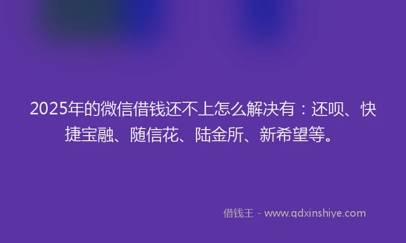 2025年的微信借钱还不上怎么解决有：还呗、快捷宝融、随信花、陆金所、新希望等。