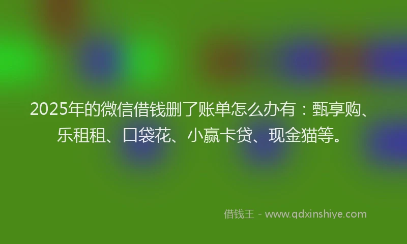 2025年的微信借钱删了账单怎么办有：甄享购、乐租租、口袋花、小赢卡贷、现金猫等。