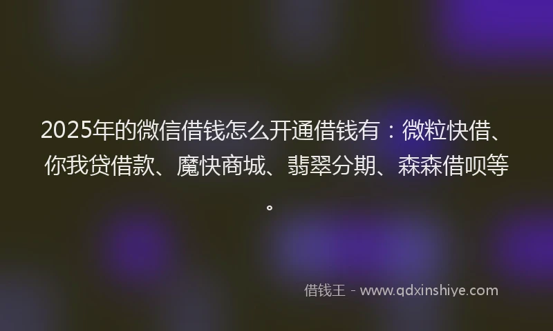 2025年的微信借钱怎么开通借钱有：微粒快借、你我贷借款、魔快商城、翡翠分期、森森借呗等。