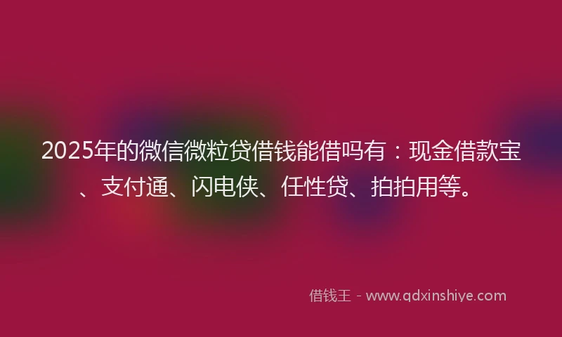 2025年的微信微粒贷借钱能借吗有：现金借款宝、支付通、闪电侠、任性贷、拍拍用等。