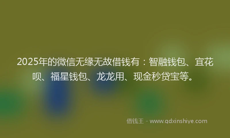 2025年的微信无缘无故借钱有：智融钱包、宜花呗、福星钱包、龙龙用、现金秒贷宝等。