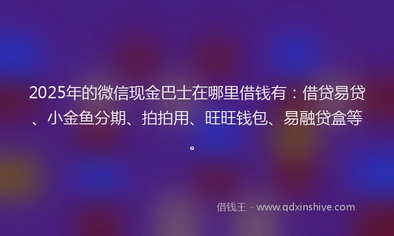 2025年的微信现金巴士在哪里借钱有：借贷易贷、小金鱼分期、拍拍用、旺旺钱包、易融贷盒等。