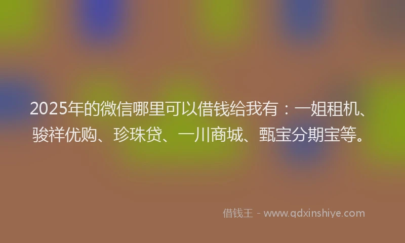 2025年的微信哪里可以借钱给我有：一姐租机、骏祥优购、珍珠贷、一川商城、甄宝分期宝等。