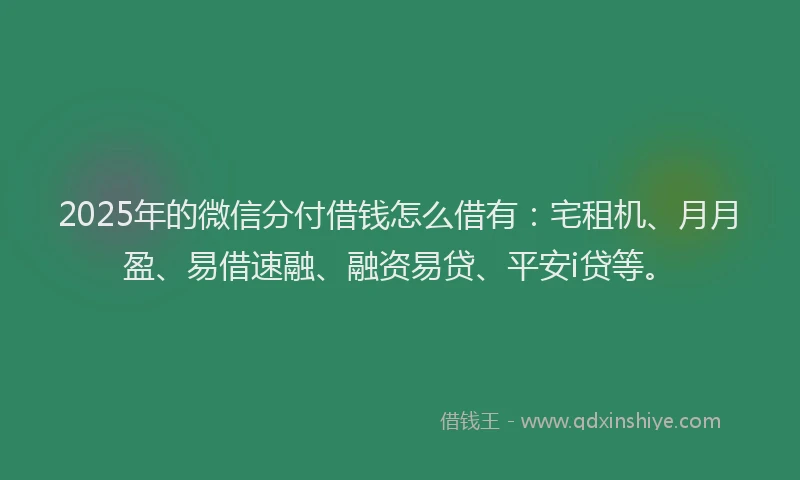 2025年的微信分付借钱怎么借有：宅租机、月月盈、易借速融、融资易贷、平安i贷等。