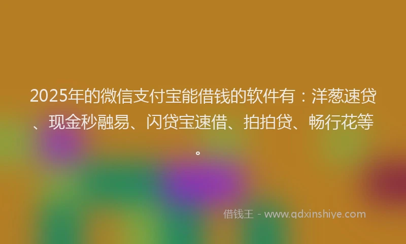 2025年的微信支付宝能借钱的软件有：洋葱速贷、现金秒融易、闪贷宝速借、拍拍贷、畅行花等。
