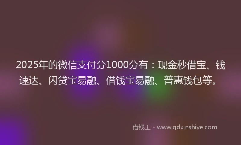 2025年的微信支付分1000分有：现金秒借宝、钱速达、闪贷宝易融、借钱宝易融、普惠钱包等。