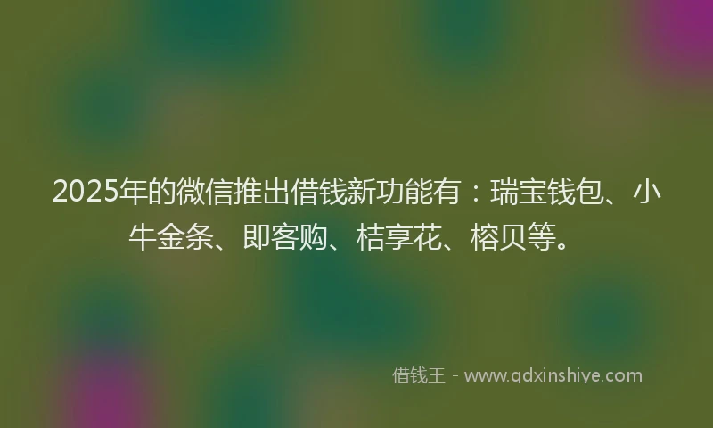 2025年的微信推出借钱新功能有：瑞宝钱包、小牛金条、即客购、桔享花、榕贝等。