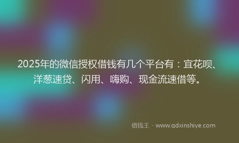 2025年的微信授权借钱有几个平台有：宜花呗、洋葱速贷、闪用、嗨购、现金流速借等。