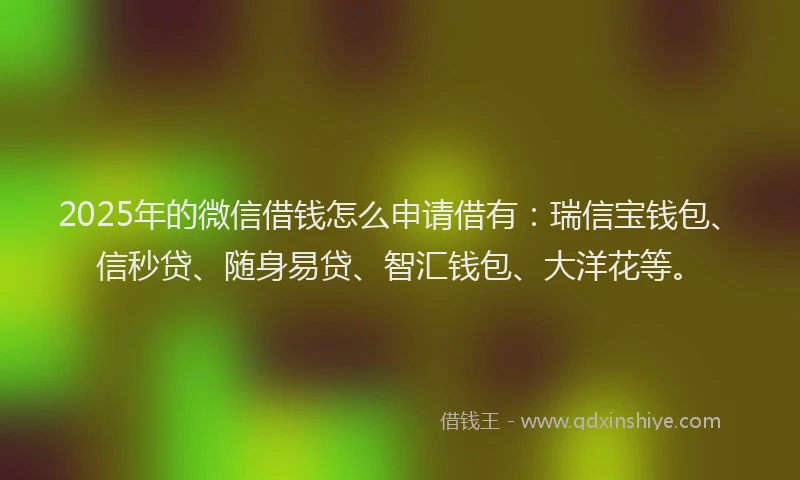 2025年的微信借钱怎么申请借有：瑞信宝钱包、信秒贷、随身易贷、智汇钱包、大洋花等。
