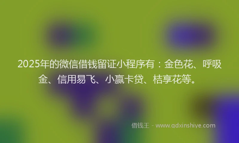 2025年的微信借钱留证小程序有：金色花、呼吸金、信用易飞、小赢卡贷、桔享花等。