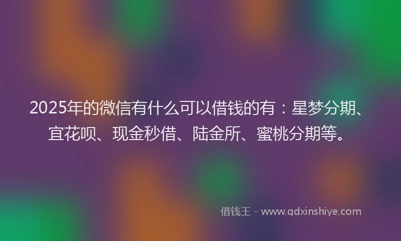 2025年的微信有什么可以借钱的有：星梦分期、宜花呗、现金秒借、陆金所、蜜桃分期等。