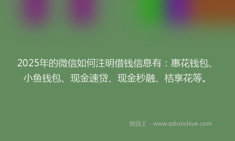 2025年的微信如何注明借钱信息有：惠花钱包、小鱼钱包、现金速贷、现金秒融、桔享花等。