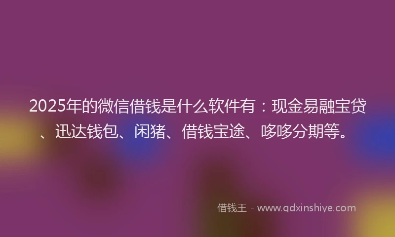 2025年的微信借钱是什么软件有：现金易融宝贷、迅达钱包、闲猪、借钱宝途、哆哆分期等。