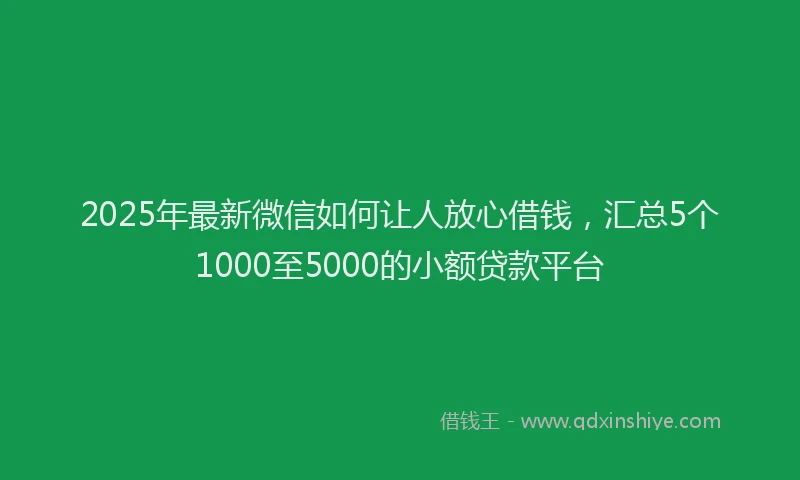 2025年最新微信如何让人放心借钱，汇总5个1000至5000的小额贷款平台