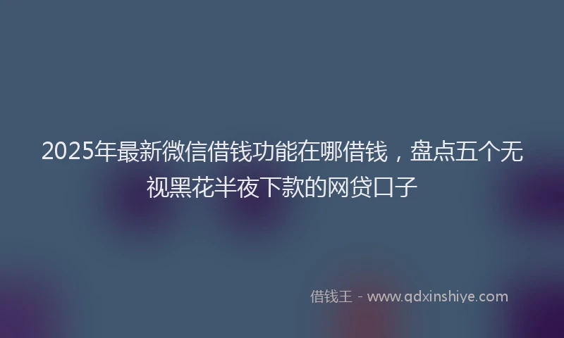 2025年最新微信借钱功能在哪借钱，盘点五个无视黑花半夜下款的网贷口子