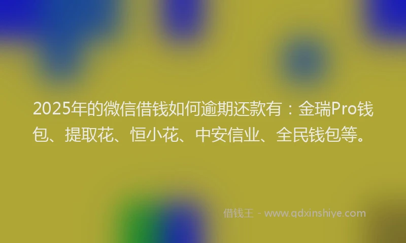 2025年的微信借钱如何逾期还款有：金瑞Pro钱包、提取花、恒小花、中安信业、全民钱包等。