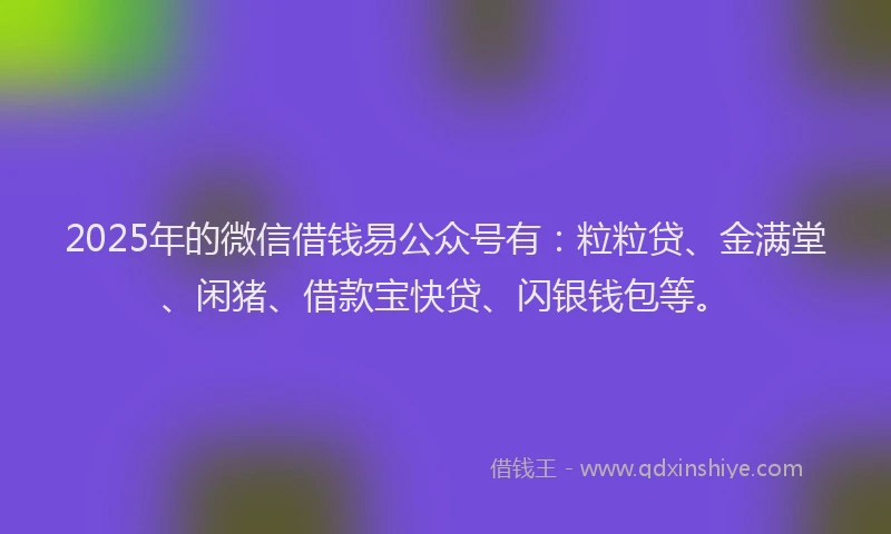 2025年的微信借钱易公众号有：粒粒贷、金满堂、闲猪、借款宝快贷、闪银钱包等。