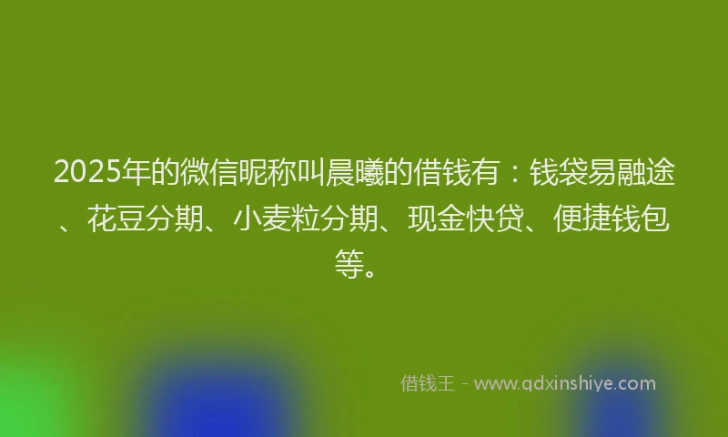 2025年的微信昵称叫晨曦的借钱有：钱袋易融途、花豆分期、小麦粒分期、现金快贷、便捷钱包等。