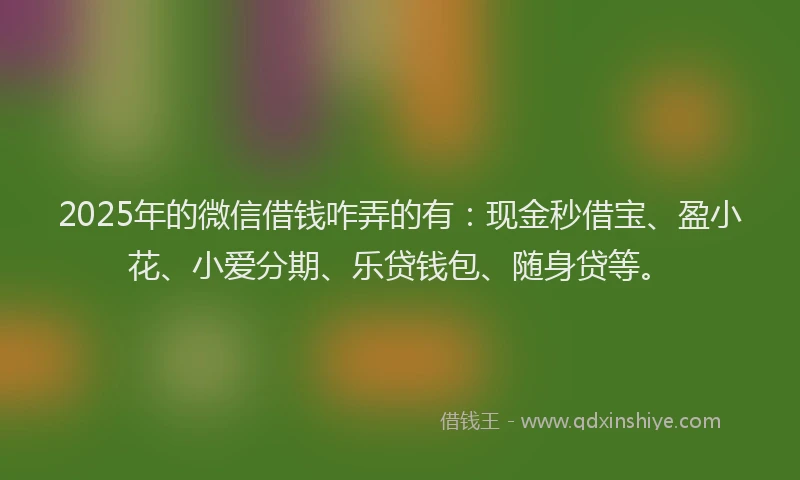 2025年的微信借钱咋弄的有：现金秒借宝、盈小花、小爱分期、乐贷钱包、随身贷等。