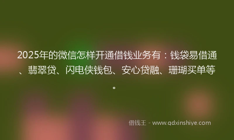 2025年的微信怎样开通借钱业务有：钱袋易借通、翡翠贷、闪电侠钱包、安心贷融、珊瑚买单等。