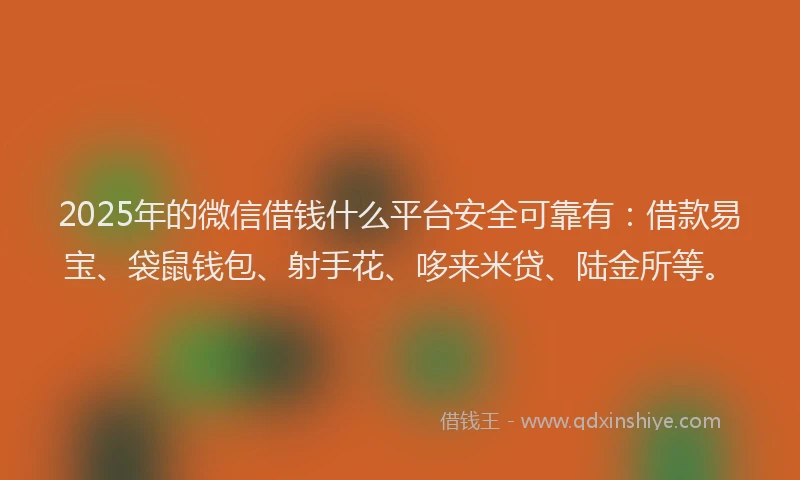 2025年的微信借钱什么平台安全可靠有：借款易宝、袋鼠钱包、射手花、哆来米贷、陆金所等。
