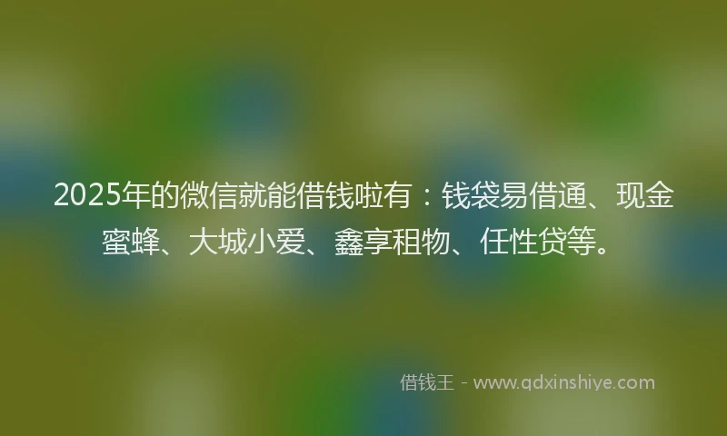 2025年的微信就能借钱啦有：钱袋易借通、现金蜜蜂、大城小爱、鑫享租物、任性贷等。