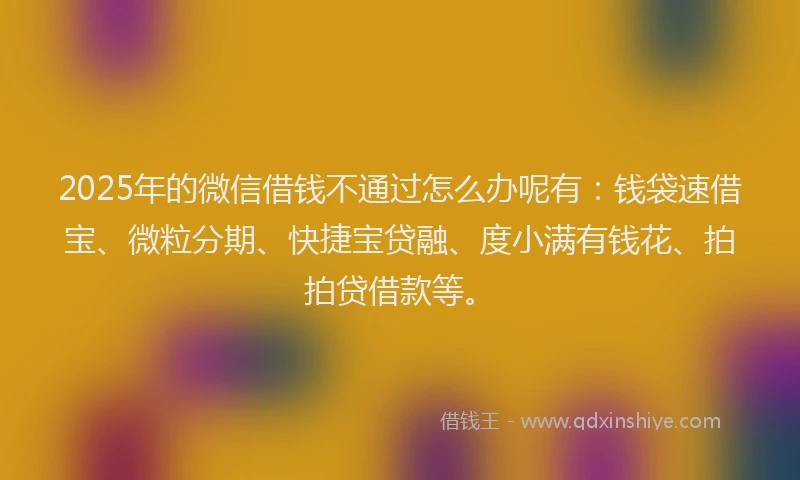 2025年的微信借钱不通过怎么办呢有：钱袋速借宝、微粒分期、快捷宝贷融、度小满有钱花、拍拍贷借款等。