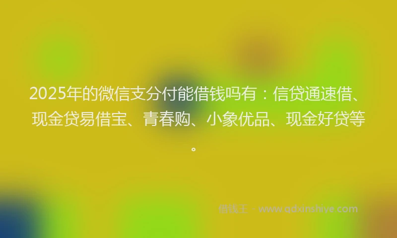 2025年的微信支分付能借钱吗有：信贷通速借、现金贷易借宝、青春购、小象优品、现金好贷等。