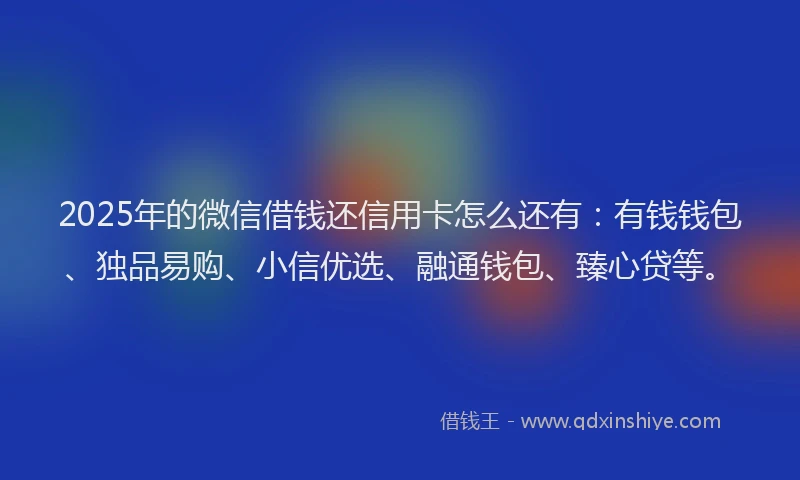2025年的微信借钱还信用卡怎么还有：有钱钱包、独品易购、小信优选、融通钱包、臻心贷等。