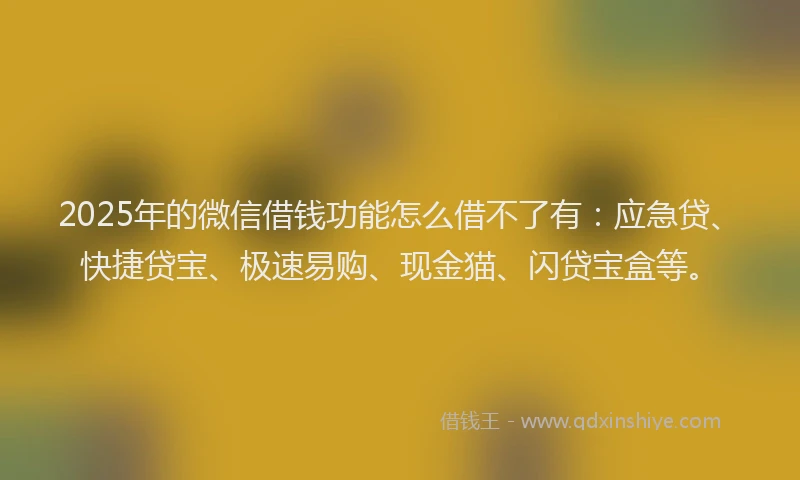 2025年的微信借钱功能怎么借不了有：应急贷、快捷贷宝、极速易购、现金猫、闪贷宝盒等。
