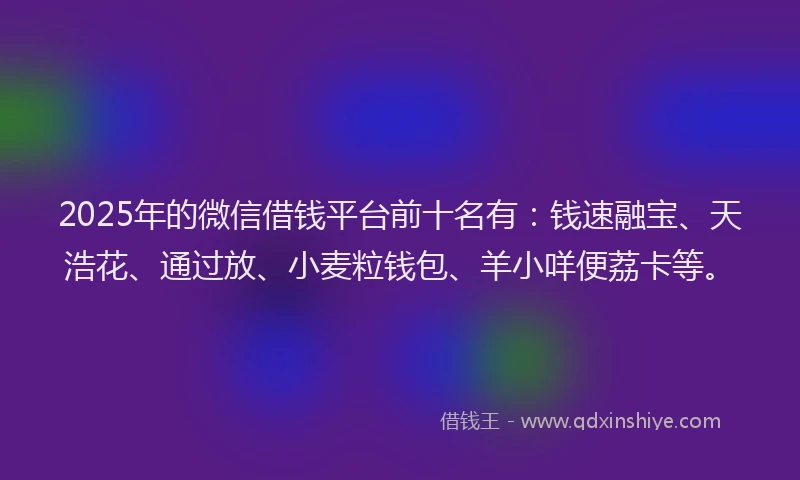 2025年的微信借钱平台前十名有：钱速融宝、天浩花、通过放、小麦粒钱包、羊小咩便荔卡等。