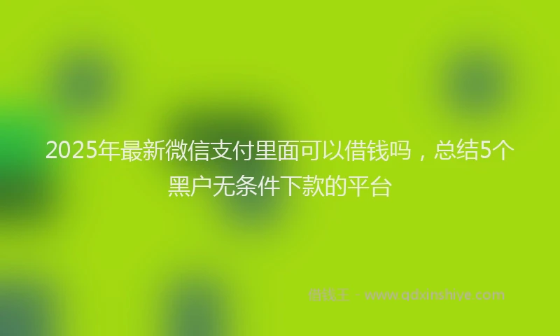 2025年最新微信支付里面可以借钱吗，总结5个黑户无条件下款的平台