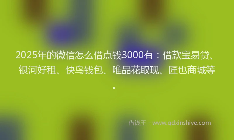 2025年的微信怎么借点钱3000有：借款宝易贷、银河好租、快鸟钱包、唯品花取现、匠也商城等。