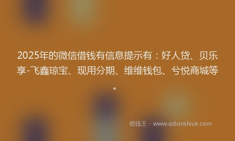 2025年的微信借钱有信息提示有：好人贷、贝乐享-飞鑫琼宝、现用分期、维维钱包、兮悦商城等。