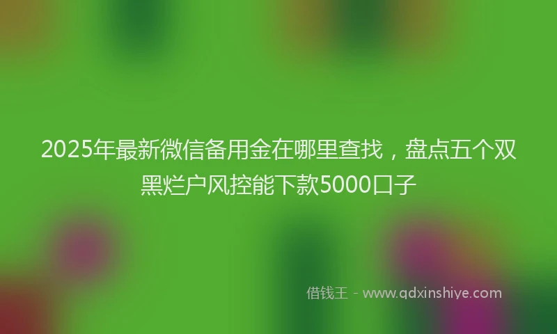 2025年最新微信备用金在哪里查找，盘点五个双黑烂户风控能下款5000口子